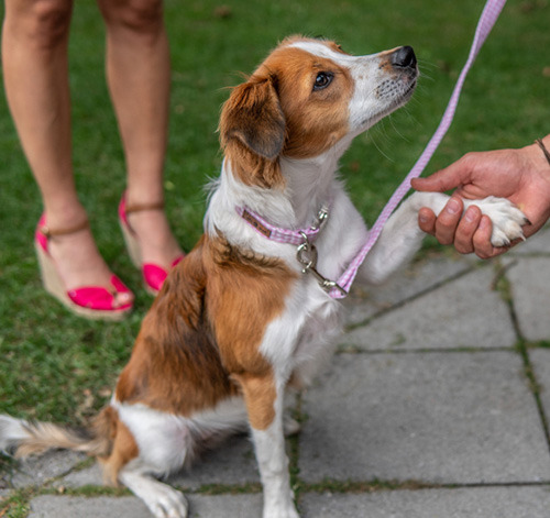 Reischl Lebensmitteltechnik